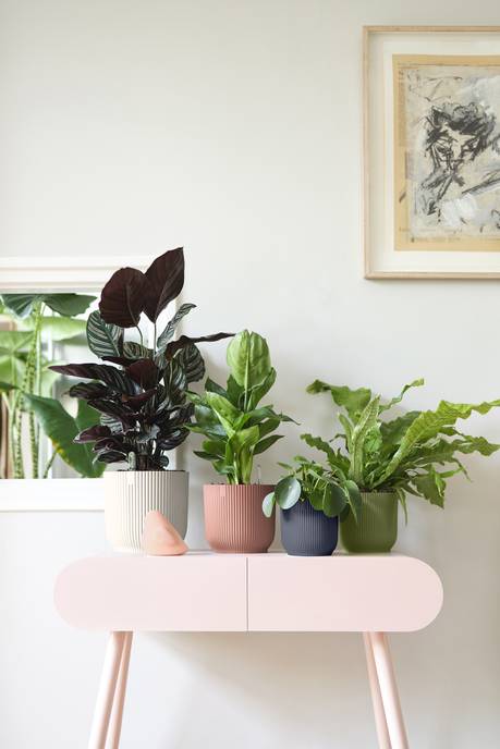 vibes fold rond 18cm anthracite